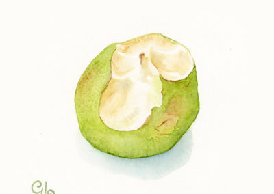 Half Eaten Pear